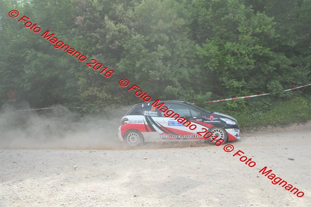 DSC_6785.JPG